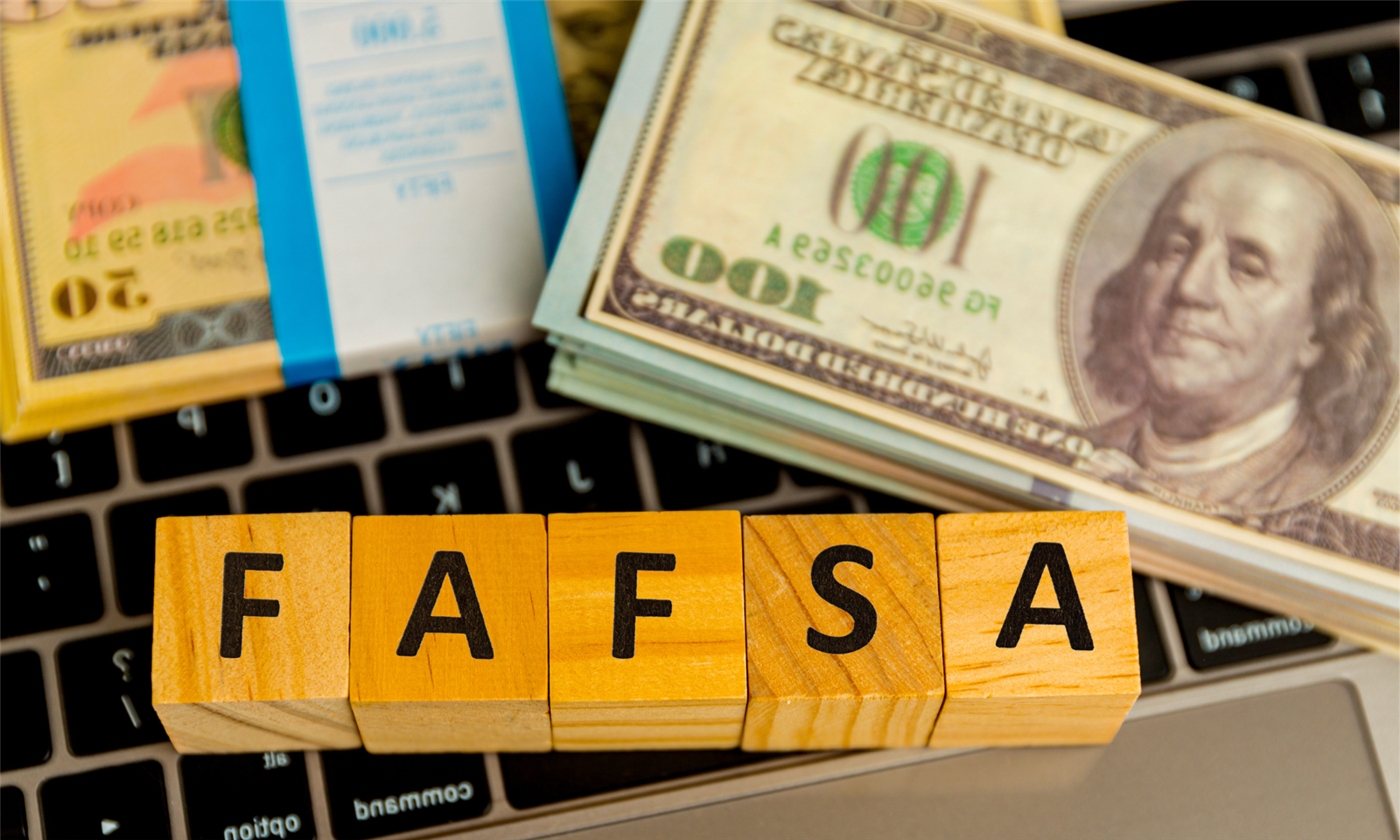 FAFSA graphic